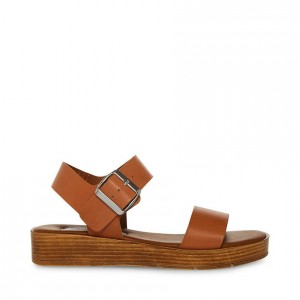 Platform Steve Madden Keenan Mujer Marrom | 9682437-RM