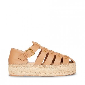 Platform Steve Madden Kilo Espadrille Fisherman Mujer Marrom | 2041593-JQ
