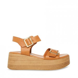 Platform Steve Madden Marka Mujer Marrom | 8542913-XA