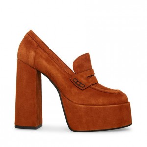 Platform Steve Madden Paris Mujer Marrom | 8703619-AD