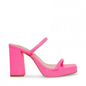Platform Steve Madden Polly Mujer Fucsia | 0364857-XK