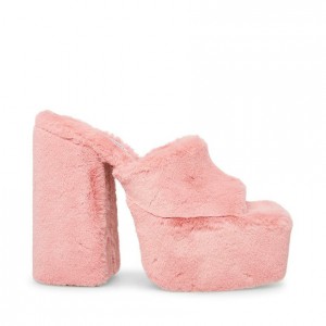 Platform Steve Madden Trixie-f Super Block Mujer Rosas | 1764093-RI