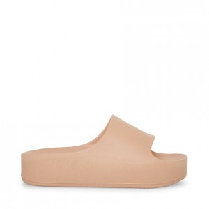 Sandalias Steve Madden Astro Mujer Rosas | 2958301-SR