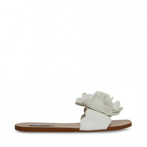 Sandalias Steve Madden Chelsea Mujer Blancos | 7941326-TD