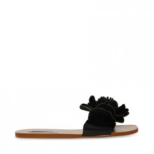 Sandalias Steve Madden Chelsea Mujer Negros | 7825693-DY