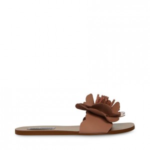 Sandalias Steve Madden Chelsea Mujer Rosas | 8631427-GE