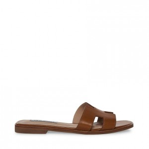 Sandalias Steve Madden Hadyn Mujer Marrom | 1743265-SZ