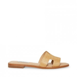 Sandalias Steve Madden Hadyn Mujer Negros | 3704286-IA