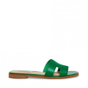 Sandalias Steve Madden Hadyn Mujer Verdes | 1748205-SX