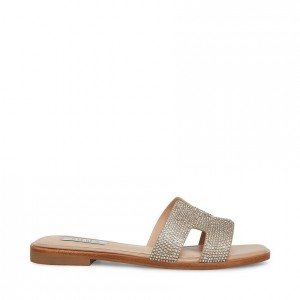 Sandalias Steve Madden Hadyn-r Mujer Marrom | 1845039-XU