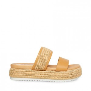 Sandalias Steve Madden Hudson Flatform Mujer Marrom | 2634578-WJ