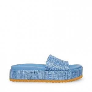 Sandalias Steve Madden Kasper Flatform Mujer Azules | 4371089-VX