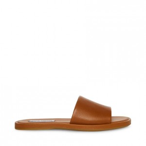 Sandalias Steve Madden Kaya Mujer Marrom | 4718032-XG