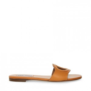 Sandalias Steve Madden Kylah Mujer Marrom | 9564018-QR