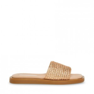 Sandalias Steve Madden Leigh Rose Square Toe Mujer Rosas Dorados | 1076293-RD