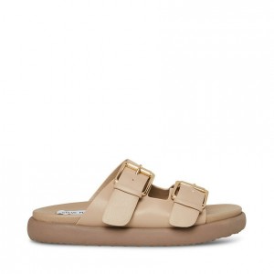 Sandalias Steve Madden Nevara Mujer Grises Marrom | 8125974-RT