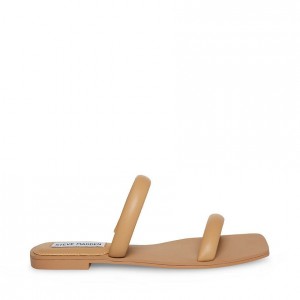 Sandalias Steve Madden Pedra Mujer Marrom | 3724810-ZX