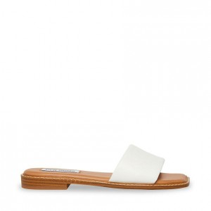 Sandalias Steve Madden Sandra Square Toe Mujer Blancos | 5308967-FD