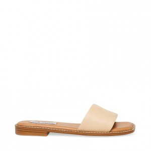Sandalias Steve Madden Sandra Square Toe Mujer Marrom | 4031672-HD
