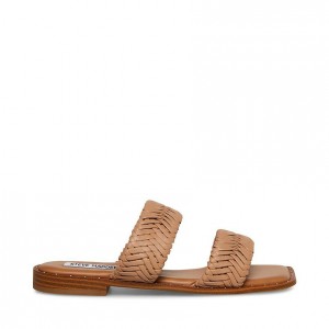 Sandalias Steve Madden Sharyn Square Toe Mujer Marrom | 7296540-HY