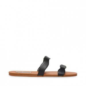 Sandalias Steve Madden Ziggy Mujer Negros | 3596802-YS