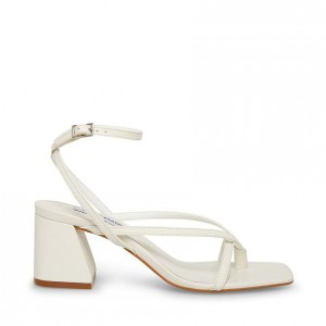 Tacones Steve Madden Alaina Strappy Square Toe Mujer Beige | 8279516-ZL