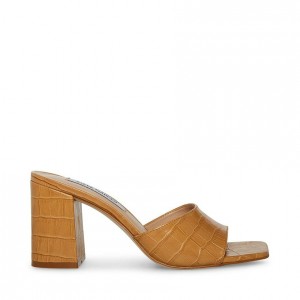 Tacones Steve Madden Alaya Square Toe Mujer Marrom | 8679023-RQ