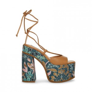 Tacones Steve Madden Anika Lace Up Mujer Marrom | 5183297-AN