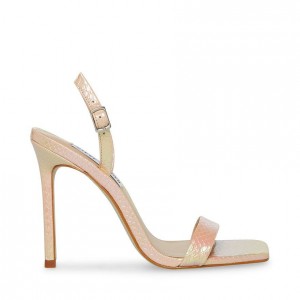 Tacones Steve Madden Bethany Square Toe Mujer Rosas Serpent | 4259863-XZ