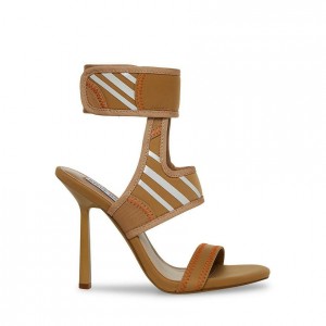 Tacones Steve Madden Carmellaed Mujer Marrom | 9641570-TS