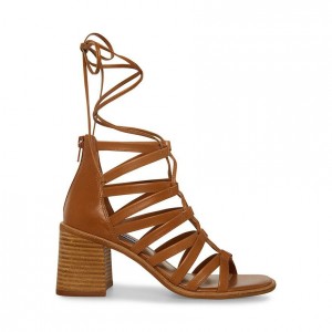 Tacones Steve Madden Cherri 30 Strappy Lace Up Block Mujer Marrom | 4109876-CM