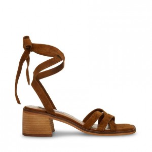 Tacones Steve Madden Cory Strappy Lace Up Block Mujer Marrom | 0367459-AS
