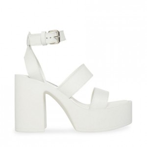Tacones Steve Madden Dora Mujer Blancos | 7469153-YU