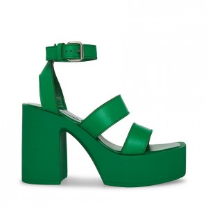 Tacones Steve Madden Dora Mujer Verdes | 3169548-SZ