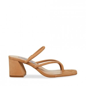 Tacones Steve Madden Effie Strappy Square Toe Mujer Marrom | 3690412-MP