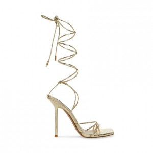 Tacones Steve Madden Evita Strappy Square Toe Mujer Dorados Serpent | 4321759-GB