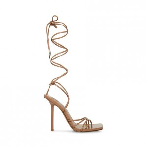 Tacones Steve Madden Evita Strappy Square Toe Mujer Rosas | 3906421-RO