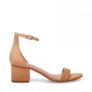 Tacones Steve Madden Irene- 2 Inch Mujer Marrom | 2079564-PY