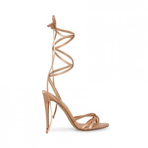 Tacones Steve Madden Larisa Strappy Lace Up Mujer Rosas | 9853420-KL