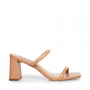 Tacones Steve Madden Lilah Mujer Marrom | 9418325-ZJ