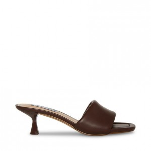 Tacones Steve Madden Syrah Square Toe Mujer Marrom | 5698041-FG