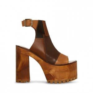 Tacones Steve Madden Tamari Mujer Marrom Multicolor | 6270148-RS