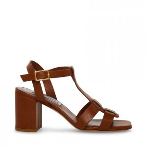 Tacones Steve Madden Waverly Square Toe Block Mujer Marrom | 3027498-YV