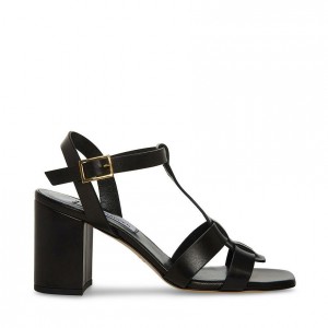 Tacones Steve Madden Waverly Square Toe Block Mujer Negros | 9375148-ZU