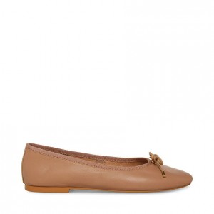 Tenis Planos Steve Madden Blossoms Mujer Rosas | 4871305-UJ