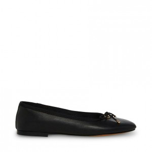 Tenis Planos Steve Madden Blossoms Mujer Negros | 7862145-RP