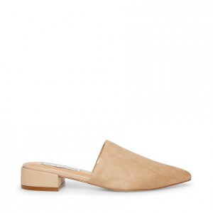 Tenis Planos Steve Madden Lyra Mujer Marrom | 0781452-OW