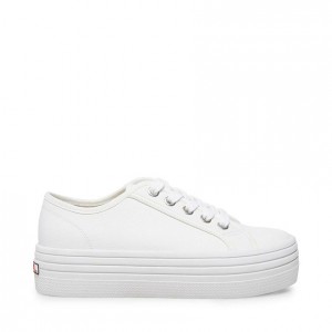 Tenis Steve Madden Bobbi 30 Low Top Mujer Blancos | 7259081-TA