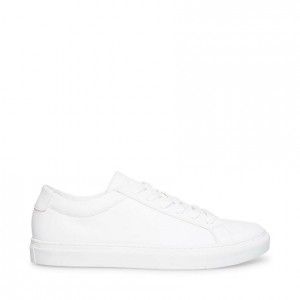 Tenis Steve Madden Bolo Hombre Blancos | 1739820-WS