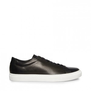 Tenis Steve Madden Bolo Hombre Negros | 7054968-BU
